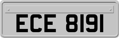 ECE8191