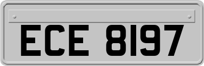 ECE8197