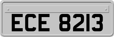 ECE8213