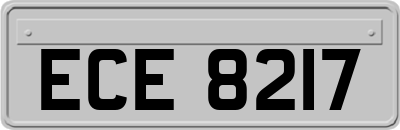 ECE8217