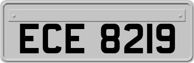 ECE8219