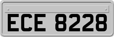 ECE8228