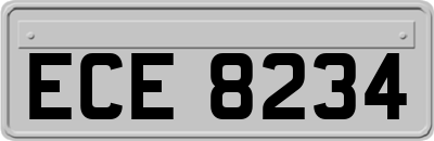 ECE8234