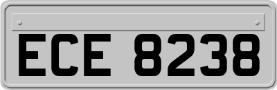 ECE8238