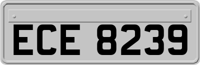 ECE8239