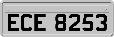 ECE8253