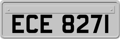 ECE8271