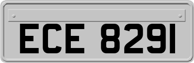 ECE8291