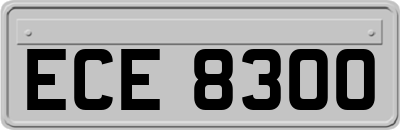 ECE8300