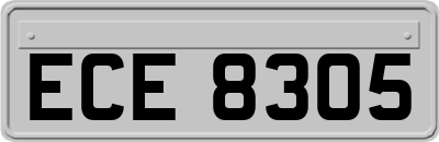 ECE8305