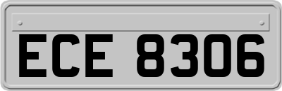 ECE8306