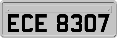 ECE8307