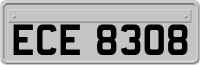 ECE8308