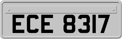 ECE8317