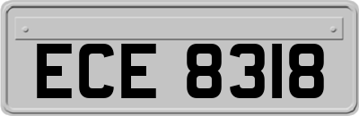 ECE8318