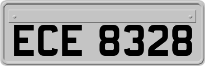 ECE8328