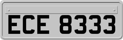 ECE8333