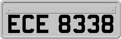 ECE8338