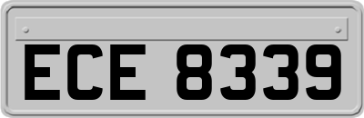 ECE8339