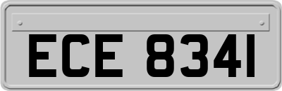 ECE8341