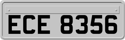 ECE8356
