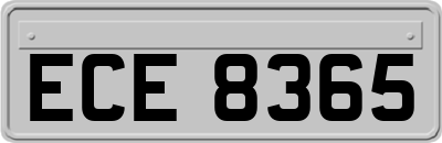ECE8365
