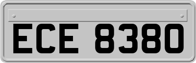ECE8380