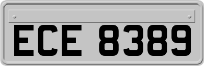 ECE8389