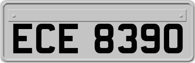 ECE8390