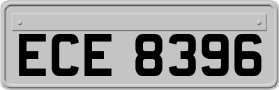 ECE8396