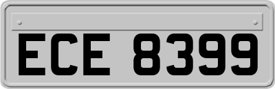 ECE8399
