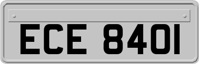 ECE8401