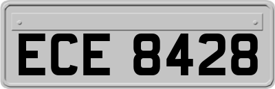 ECE8428