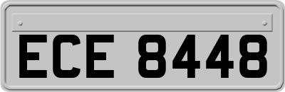 ECE8448