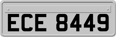 ECE8449