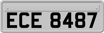 ECE8487