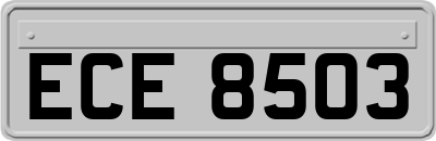 ECE8503