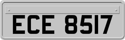 ECE8517