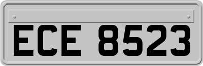 ECE8523