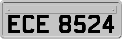 ECE8524
