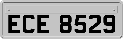 ECE8529