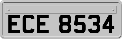 ECE8534