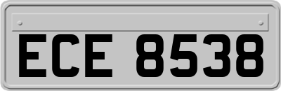 ECE8538