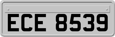 ECE8539