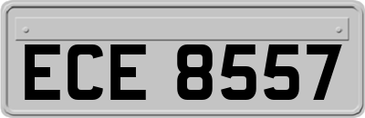 ECE8557