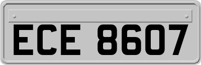 ECE8607