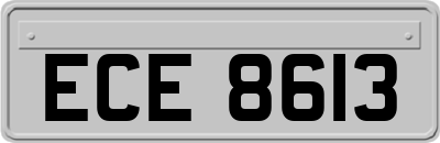 ECE8613