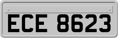 ECE8623