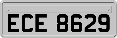 ECE8629