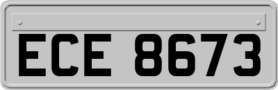 ECE8673